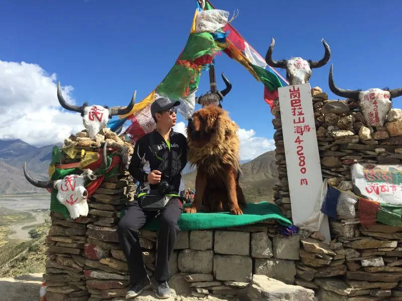 Tibet partnership