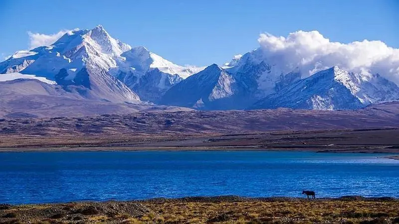 Tibet