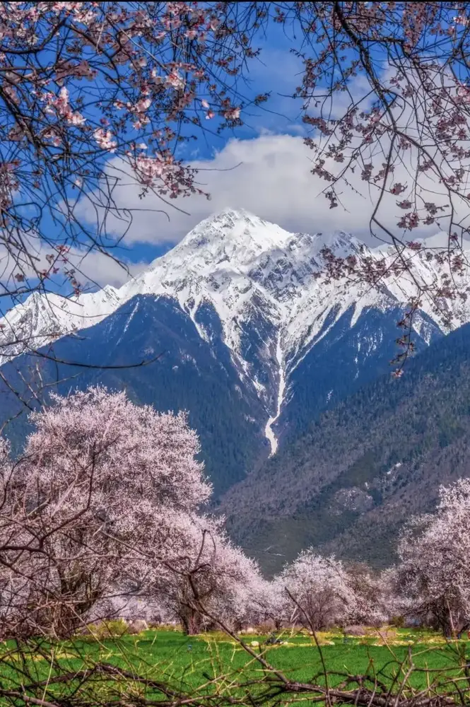 Himalayan mountains at sunrise