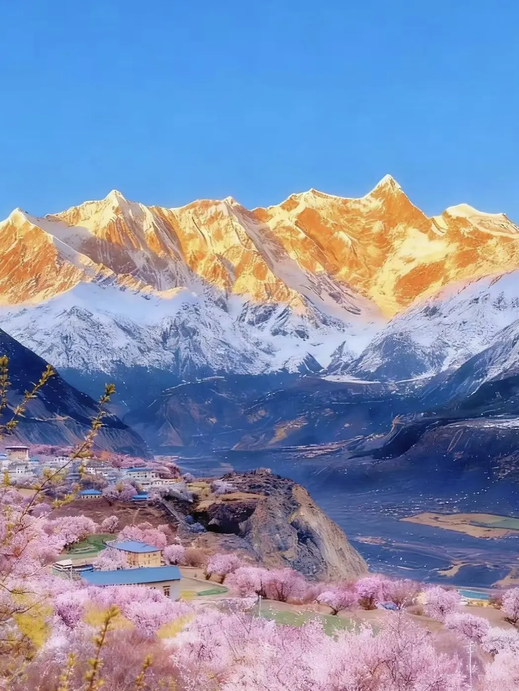 Tibet